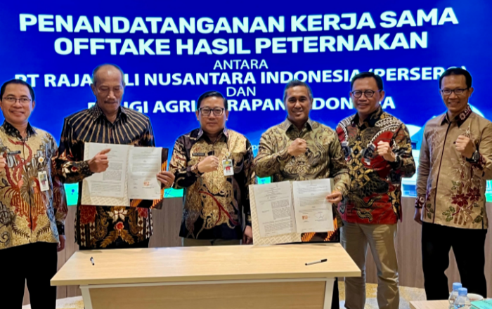 Tak Lagi Terpusat di Jawa,Pemerintah Gaspol Hilirisasi Ayam demi Protein Merata & Peternak Sejahtera